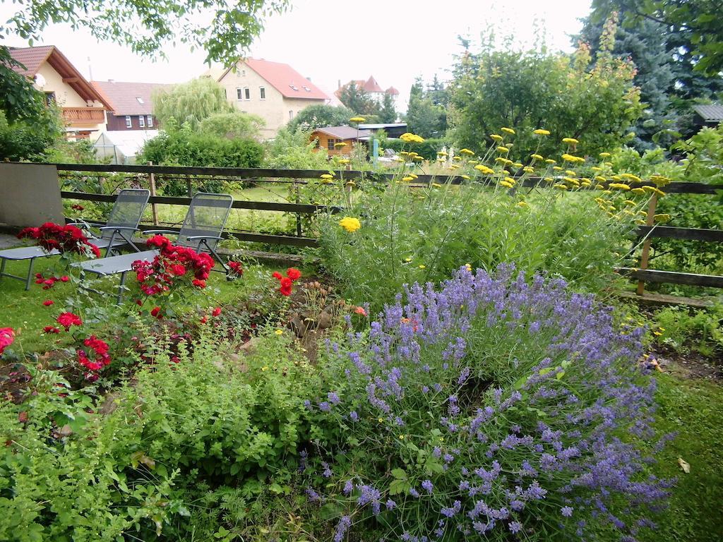 Ferienwohnung Markert Blankenburg  Exterior foto